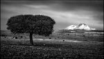 25 - Jean Lapujoulade - Plateau en Cappadoce